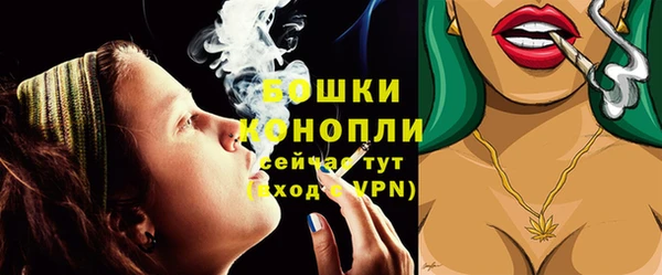 амф Новозыбков