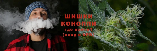 молекула духа Новокубанск