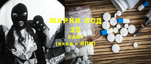 амф Новозыбков