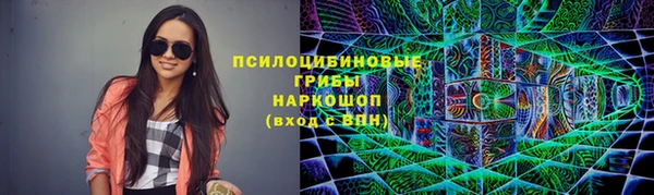 молекула духа Новокубанск